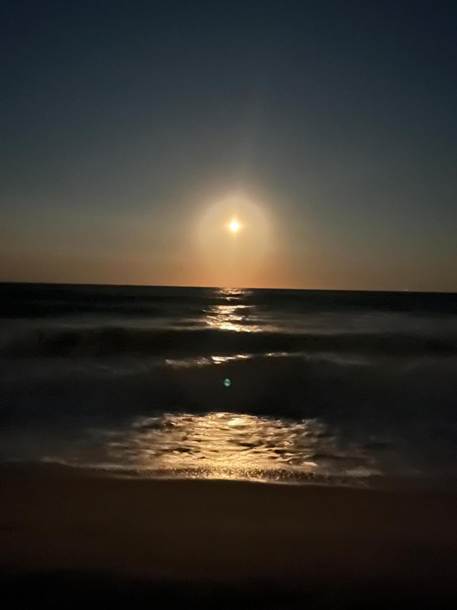 Ocean Dream Vacation Aparthotel Myrtle Beach Luaran gambar